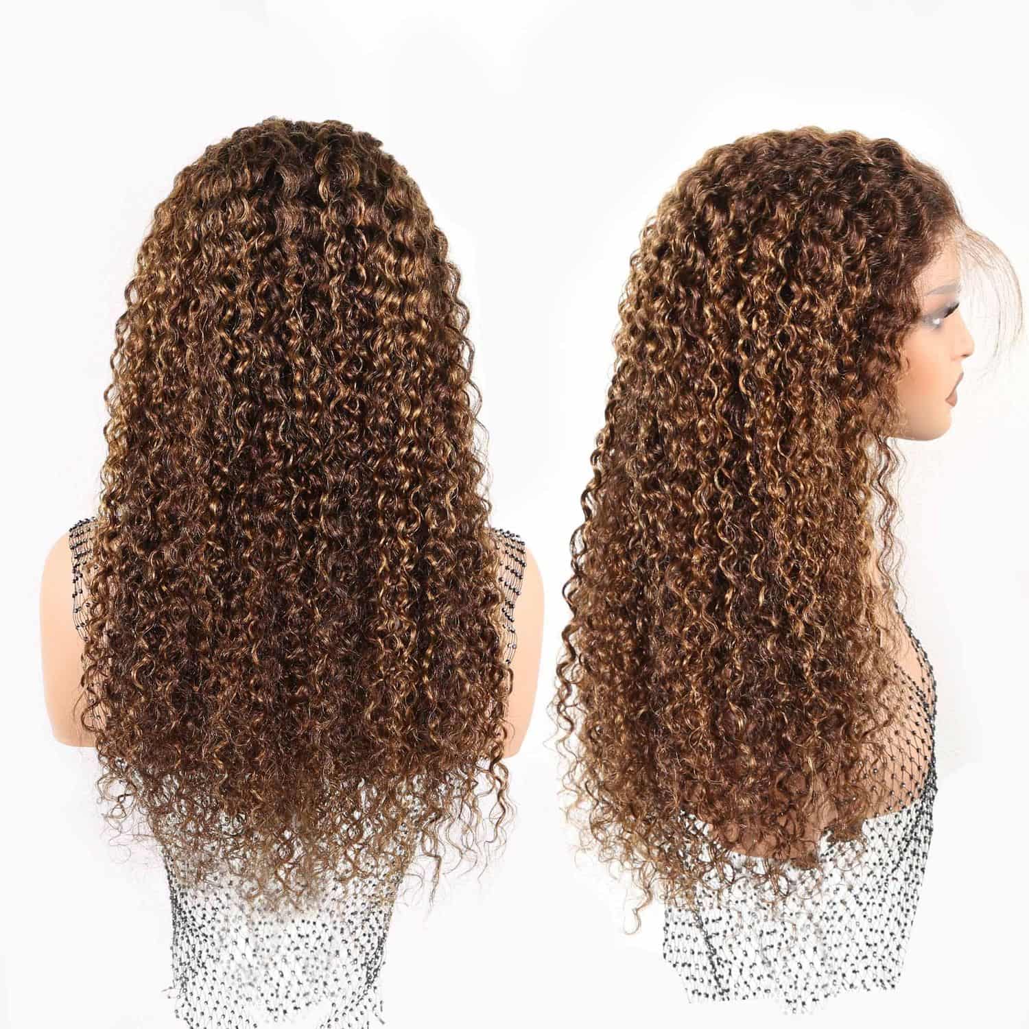 Authris Curly HD Lace Front Human Hair Wig | Blonde Highlights