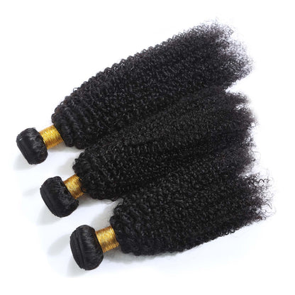 Authris Afro Kinky Curly Human Hair Bundles | Natural Black